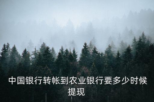  中國銀行轉帳到農業(yè)銀行要多少時候提現