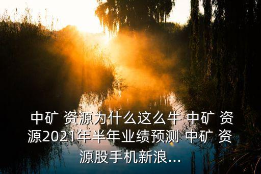  中礦 資源為什么這么牛 中礦 資源2021年半年業(yè)績預(yù)測 中礦 資源股手機(jī)新浪...