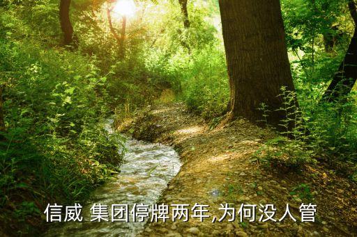 信威集團(tuán)定增價格