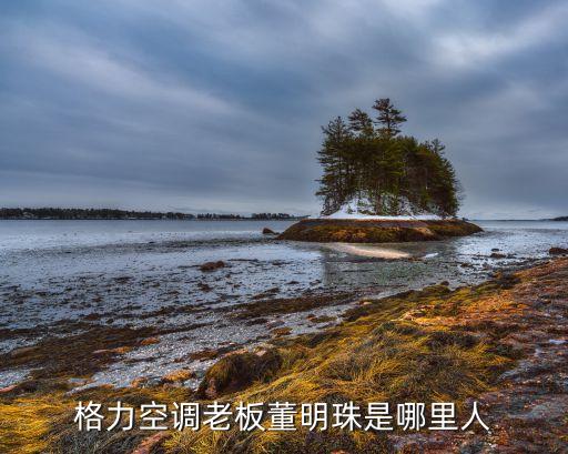 格力空調老板董明珠是哪里人