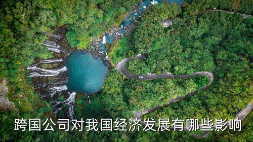  跨國(guó)公司對(duì)我國(guó)經(jīng)濟(jì)發(fā)展有哪些影響