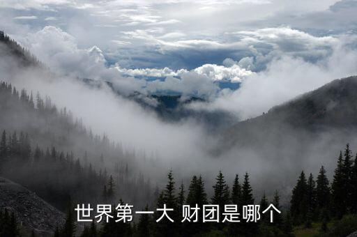 米牛網(wǎng)是哪個財團(tuán)投資的
