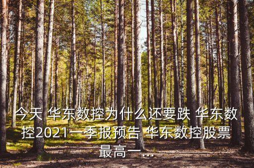 今天 華東數(shù)控為什么還要跌 華東數(shù)控2021一季報預告 華東數(shù)控股票最高一...