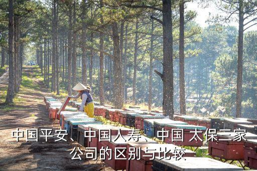 中國平安、中國人壽、中國 太保三家公司的區(qū)別與比較