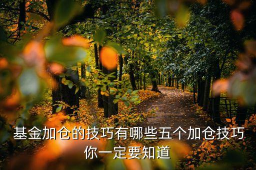 如何看基金加倉(cāng)股,二季度基金加倉(cāng)和新進(jìn)的股