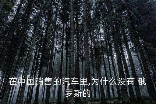 在中國(guó)銷售的汽車(chē)?yán)?為什么沒(méi)有 俄羅斯的