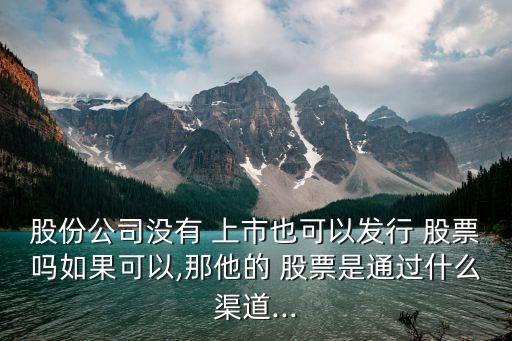 股份公司沒有 上市也可以發(fā)行 股票嗎如果可以,那他的 股票是通過(guò)什么渠道...