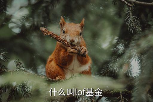 上海跨市場etf,跨市場ETF