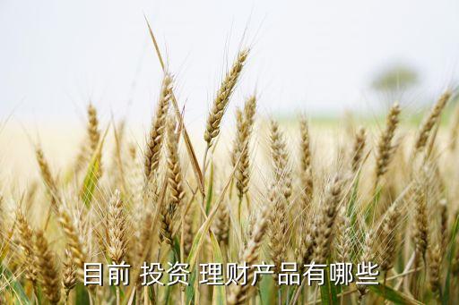 目前 投資 理財產品有哪些