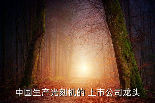 中國生產(chǎn)光刻機(jī)的 上市公司龍頭