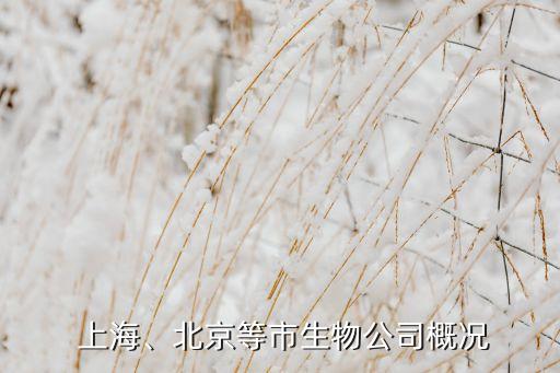  上海、北京等市生物公司概況