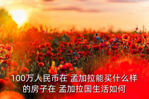 100萬人民幣在 孟加拉能買什么樣的房子在 孟加拉國(guó)生活如何