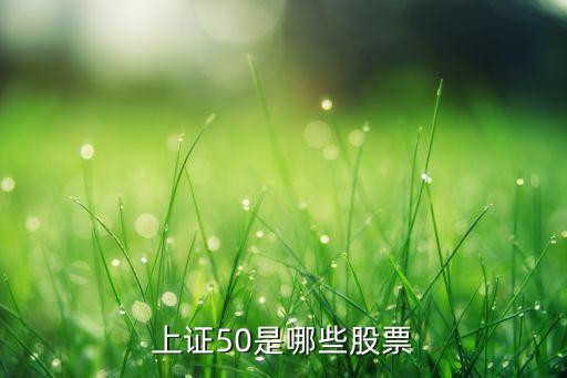 中國泛?？毓杉瘓F董事長,泛海集團董事長叫什么名字