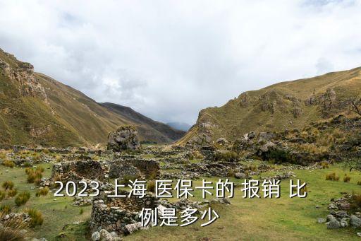 2023 上海 醫(yī)?？ǖ?報銷 比例是多少