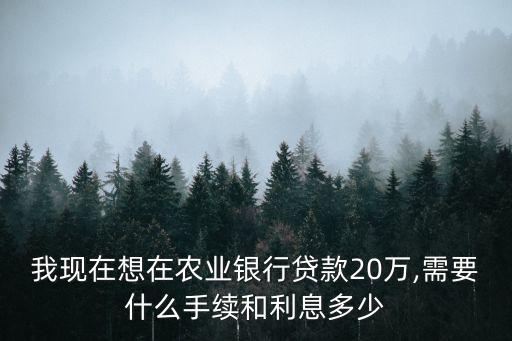 我現(xiàn)在想在農業(yè)銀行貸款20萬,需要什么手續(xù)和利息多少