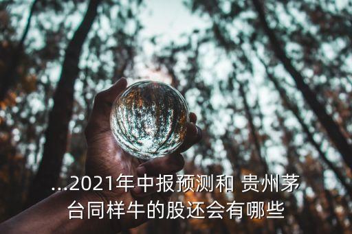 ...2021年中報預測和 貴州茅臺同樣牛的股還會有哪些
