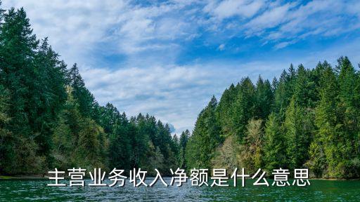 主營(yíng)業(yè)務(wù)收入凈額是什么意思
