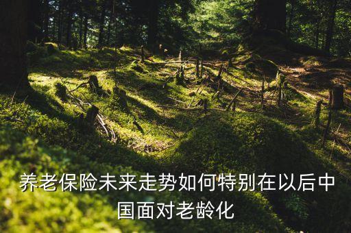  養(yǎng)老保險(xiǎn)未來走勢如何特別在以后中國面對老齡化