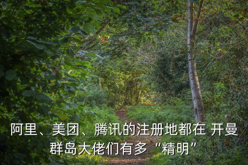 阿里、美團、騰訊的注冊地都在 開曼群島大佬們有多“精明”