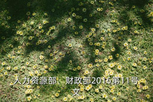 人力資源部、財(cái)政部2016第11號(hào)文