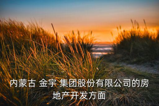 內蒙古 金宇 集團股份有限公司的房地產(chǎn)開發(fā)方面