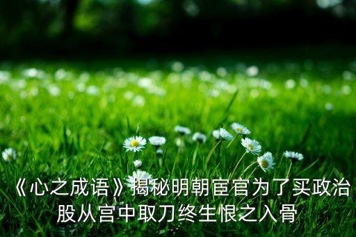 《心之成語(yǔ)》揭秘明朝宦官為了買(mǎi)政治股從宮中取刀終生恨之入骨
