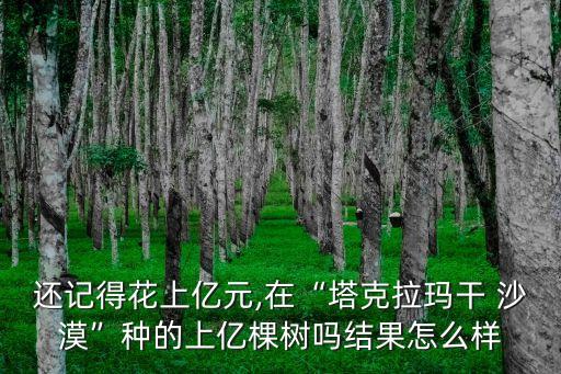 還記得花上億元,在“塔克拉瑪干 沙漠”種的上億棵樹(shù)嗎結(jié)果怎么樣
