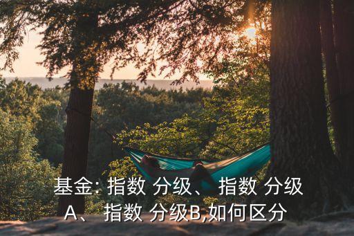  基金: 指數(shù) 分級、 指數(shù) 分級A、 指數(shù) 分級B,如何區(qū)分