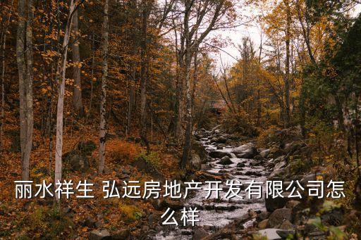 麗水祥生 弘遠房地產開發(fā)有限公司怎么樣