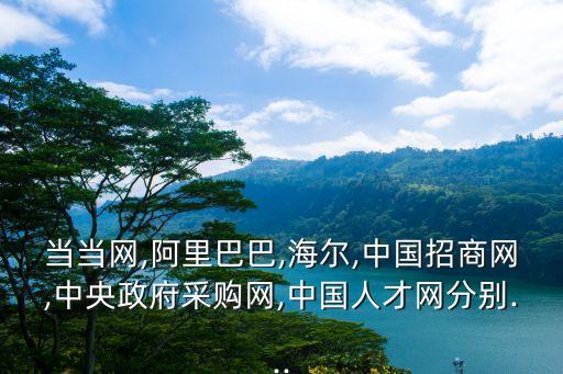 當(dāng)當(dāng)網(wǎng),阿里巴巴,海爾,中國(guó)招商網(wǎng),中央政府采購網(wǎng),中國(guó)人才網(wǎng)分別...