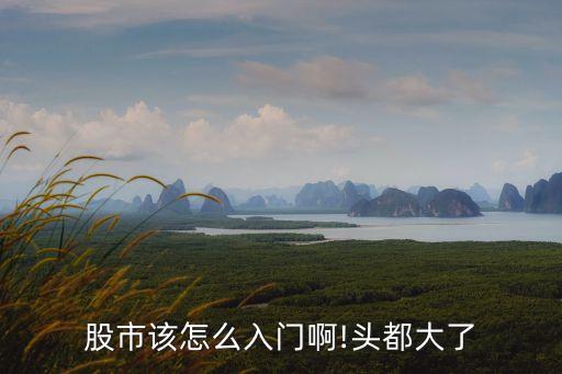 金龍科技股票行情,金龍汽車(chē)股票行情查詢(xún)