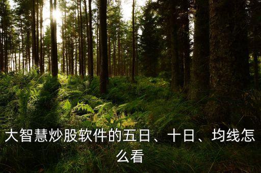 大智慧炒股軟件的五日、十日、均線怎么看