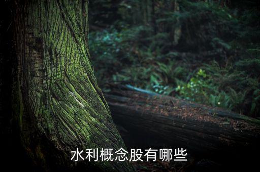 先河環(huán)保股票發(fā)行價(jià),300137 先河環(huán)保股票