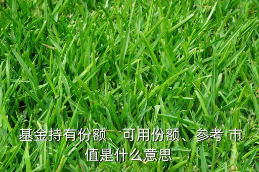  基金持有份額、可用份額、參考 市值是什么意思