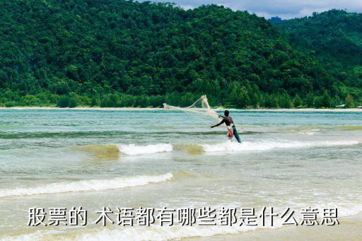 股票的各種術(shù)語(yǔ),股票盤口術(shù)語(yǔ)一覽表