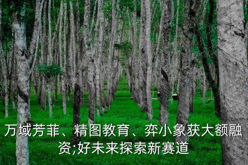 萬域芳菲、精圖教育、弈小象獲大額融資;好未來探索新賽道