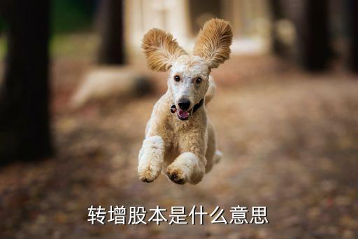 轉增股本是什么意思