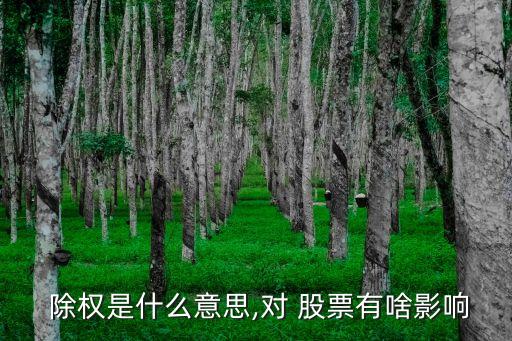  除權是什么意思,對 股票有啥影響