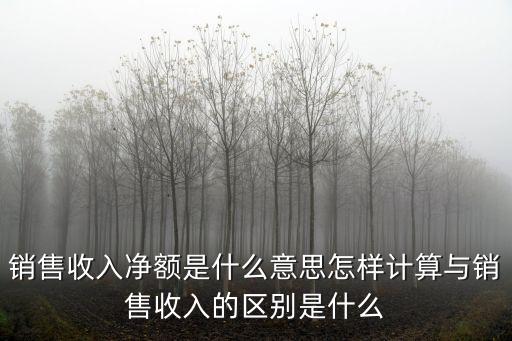 銷(xiāo)售收入凈額是什么意思怎樣計(jì)算與銷(xiāo)售收入的區(qū)別是什么