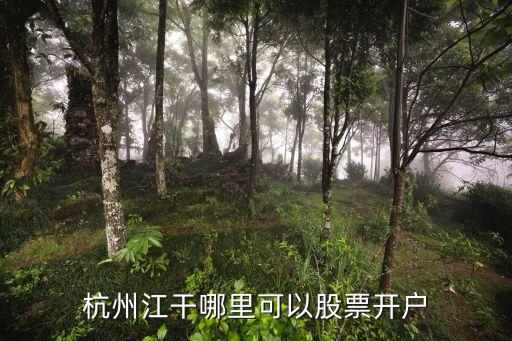 錢江理財投資,錢江投資集團(tuán)董事長