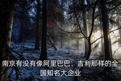南京有沒有像阿里巴巴、吉利那樣的全國知名大企業(yè)