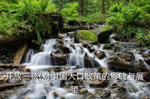 開放三孩(對(duì)中國(guó)人口政策的影響與展望