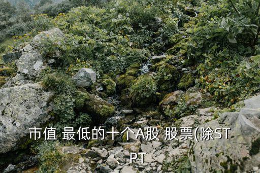 市值 最低的十個A股 股票(除ST、PT