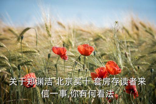 關于鄭淵潔 北京買十 套房存讀者來信一事,你有何看法