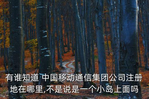 有誰(shuí)知道 中國(guó)移動(dòng)通信集團(tuán)公司注冊(cè)地在哪里,不是說(shuō)是一個(gè)小島上面嗎