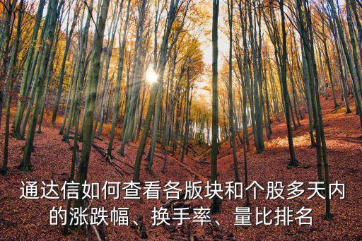  通達(dá)信如何查看各版塊和個(gè)股多天內(nèi)的漲跌幅、換手率、量比排名