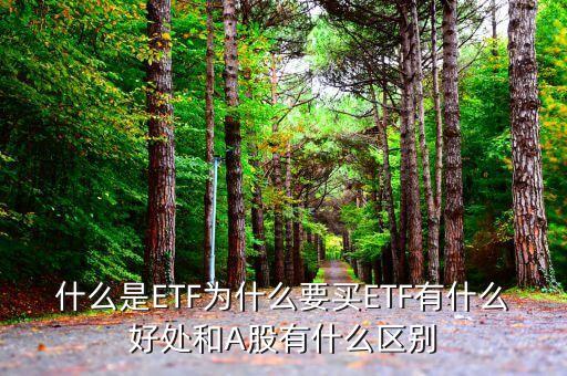 什么是ETF為什么要買(mǎi)ETF有什么好處和A股有什么區(qū)別