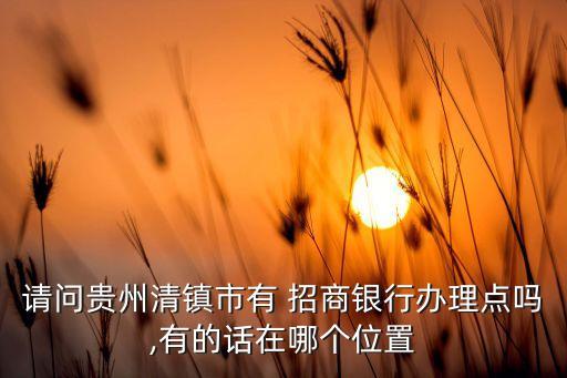 請問貴州清鎮(zhèn)市有 招商銀行辦理點(diǎn)嗎,有的話在哪個(gè)位置