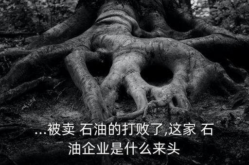 ...被賣(mài) 石油的打敗了,這家 石油企業(yè)是什么來(lái)頭