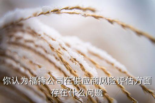 你認(rèn)為福特公司在供應(yīng)商風(fēng)險(xiǎn)評估方面存在什么問題